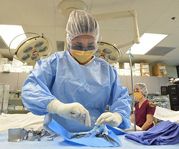 Surgical Technology Students Working with Sterilized Equipment