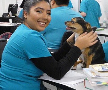 Veterinary Assistant Student with Small Dog