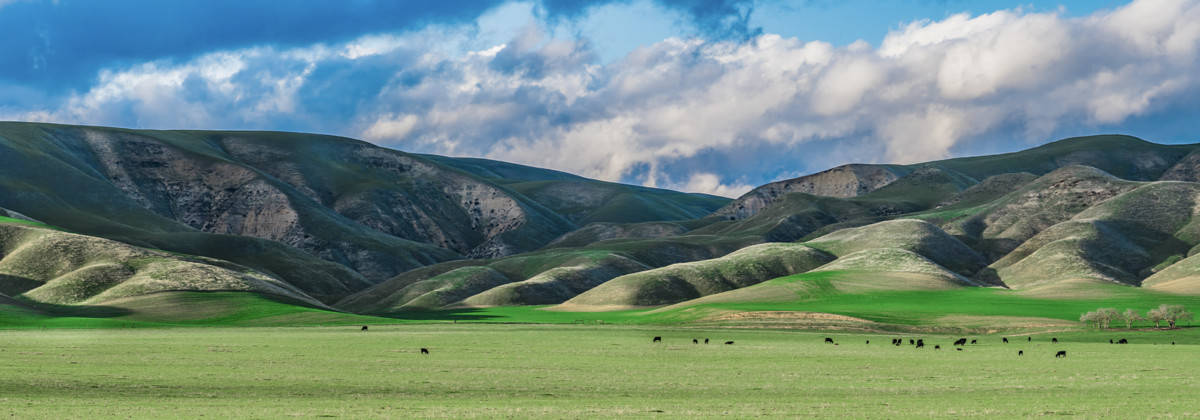 Rolling Hills and Blue Sky in California