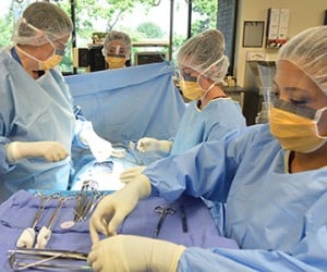 Fresno SJVC Surgical Tech students