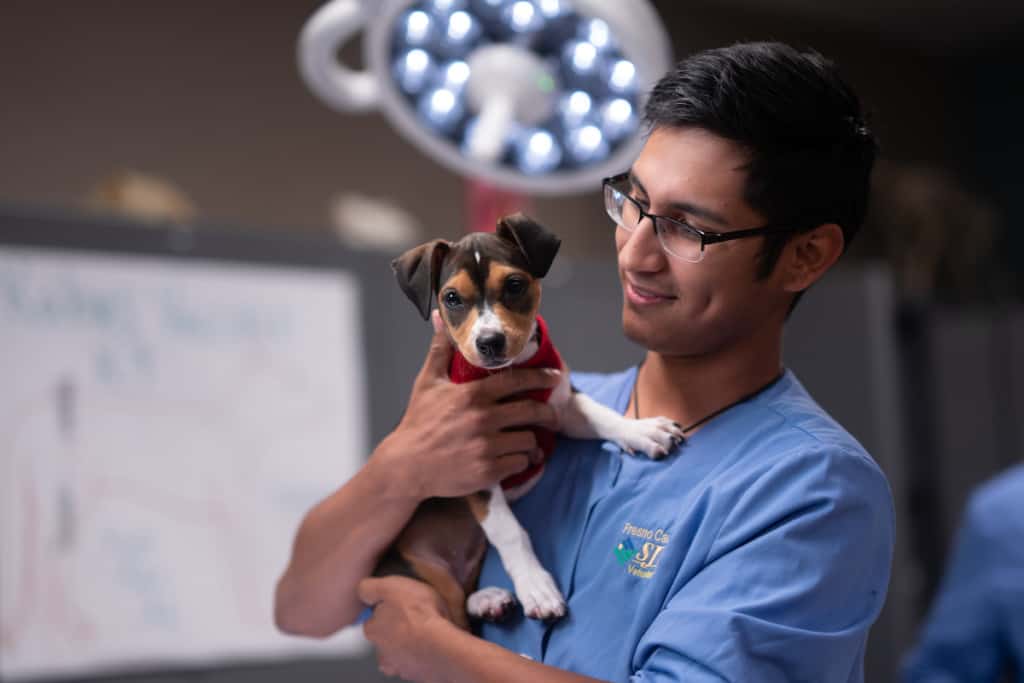 Vet Tech student holding dog