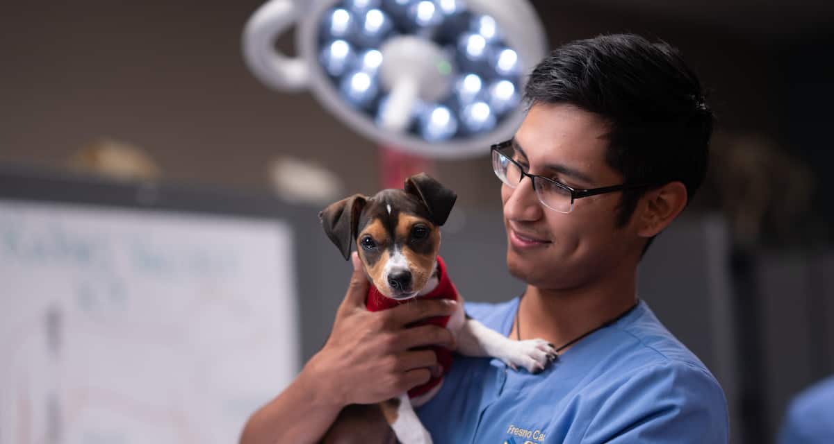 Vet Tech student holding dog