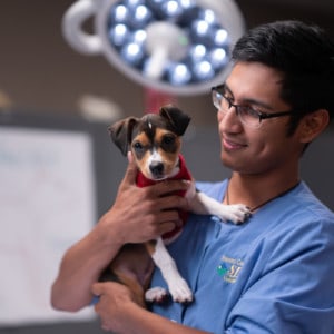 Vet Tech student holding dog