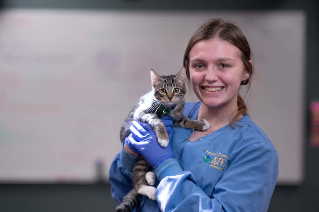 How to Become a Vet Assistant: Career Guide