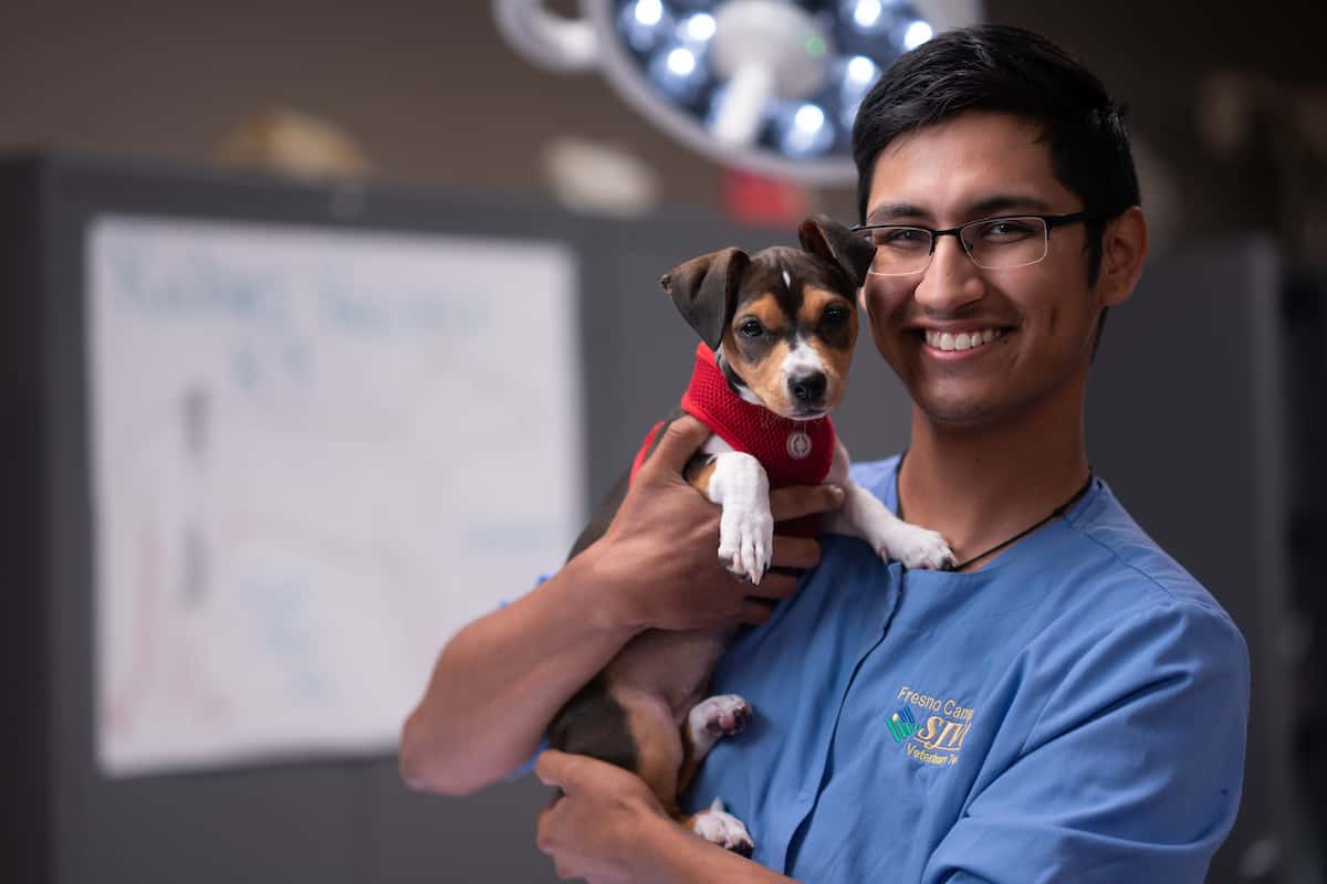 vet tech schools in orlando florida