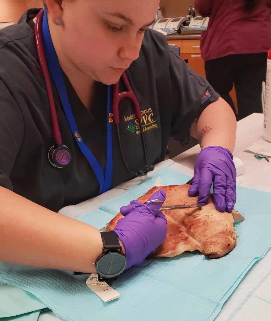 SJVC student removing sutures from a pig