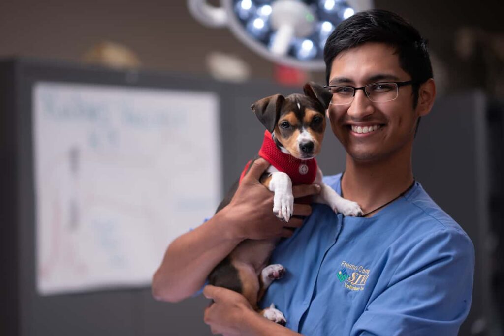SJVC Veterinary Assistant Featured
